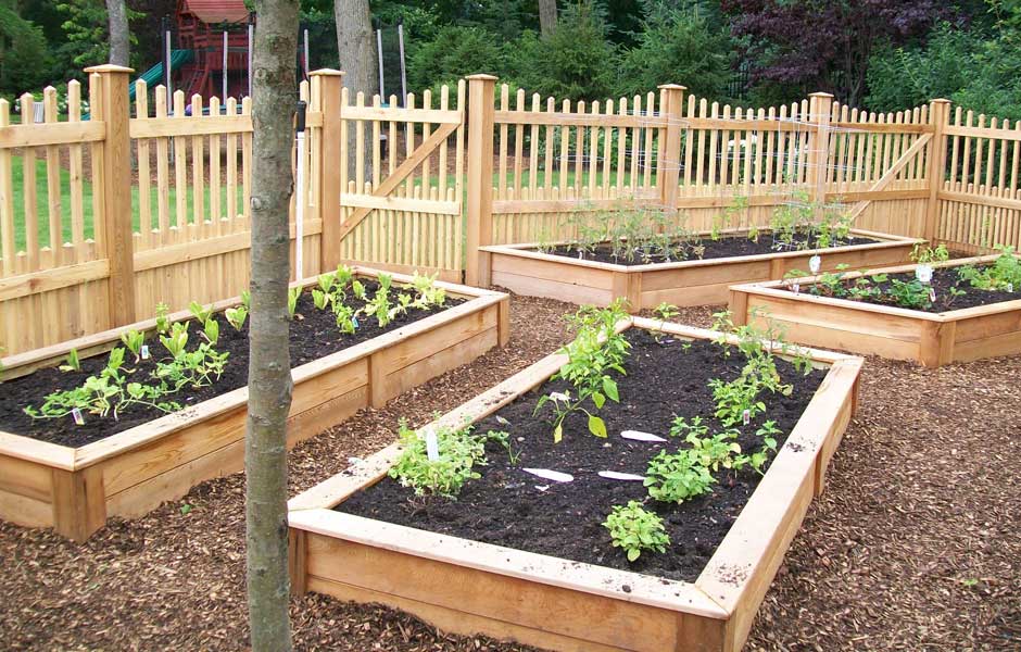 Small Gardens And Details Chester, How To Start A Vegetable Garden At Home In South Africa